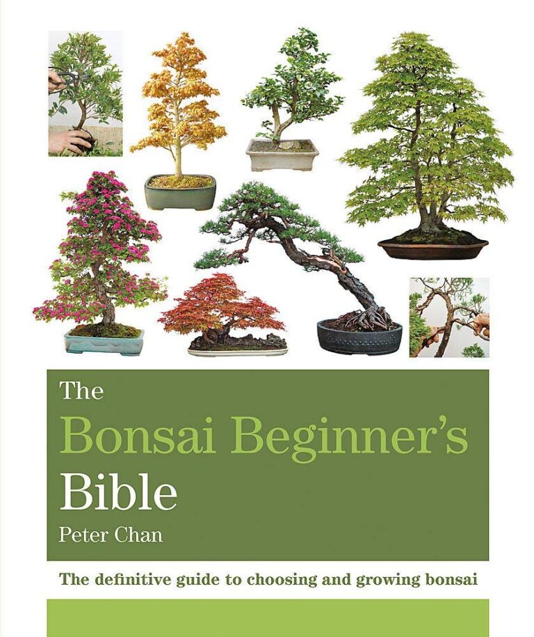 “A Masterpiece of Bonsai Knowledge: Review of ‘The Bonsai Bible'”