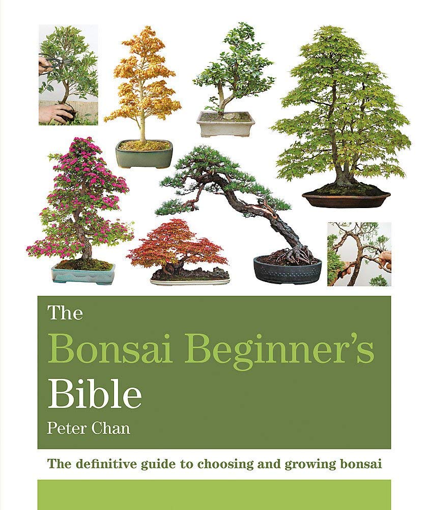 The bonsai bible