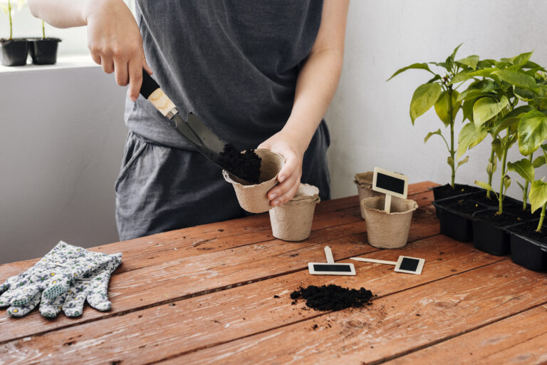 Natural Supplements for Bonsai: Enhancing Growth and Health.