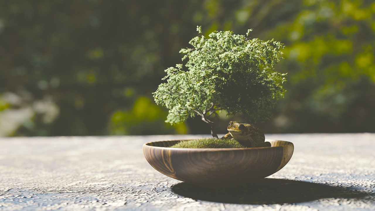 Do Bonsai Trees Need a Lot of Sunlight? A Comprehensive Guide.