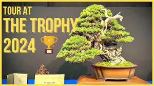 Trophy bonsai Exhibition 2024