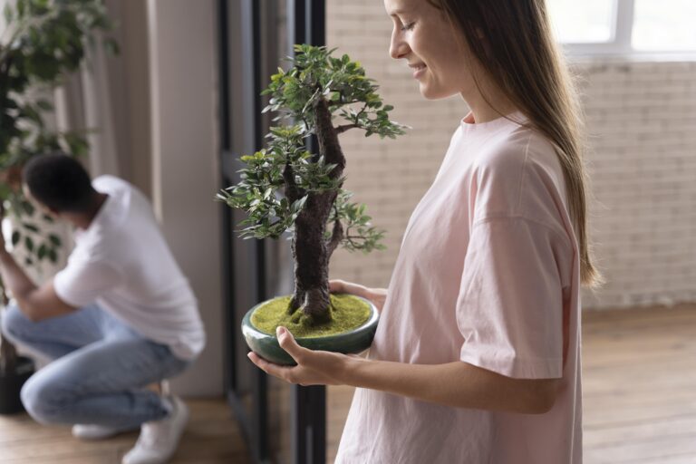 Bonsai in Small Apartments, Tiny Trees, Big Impact