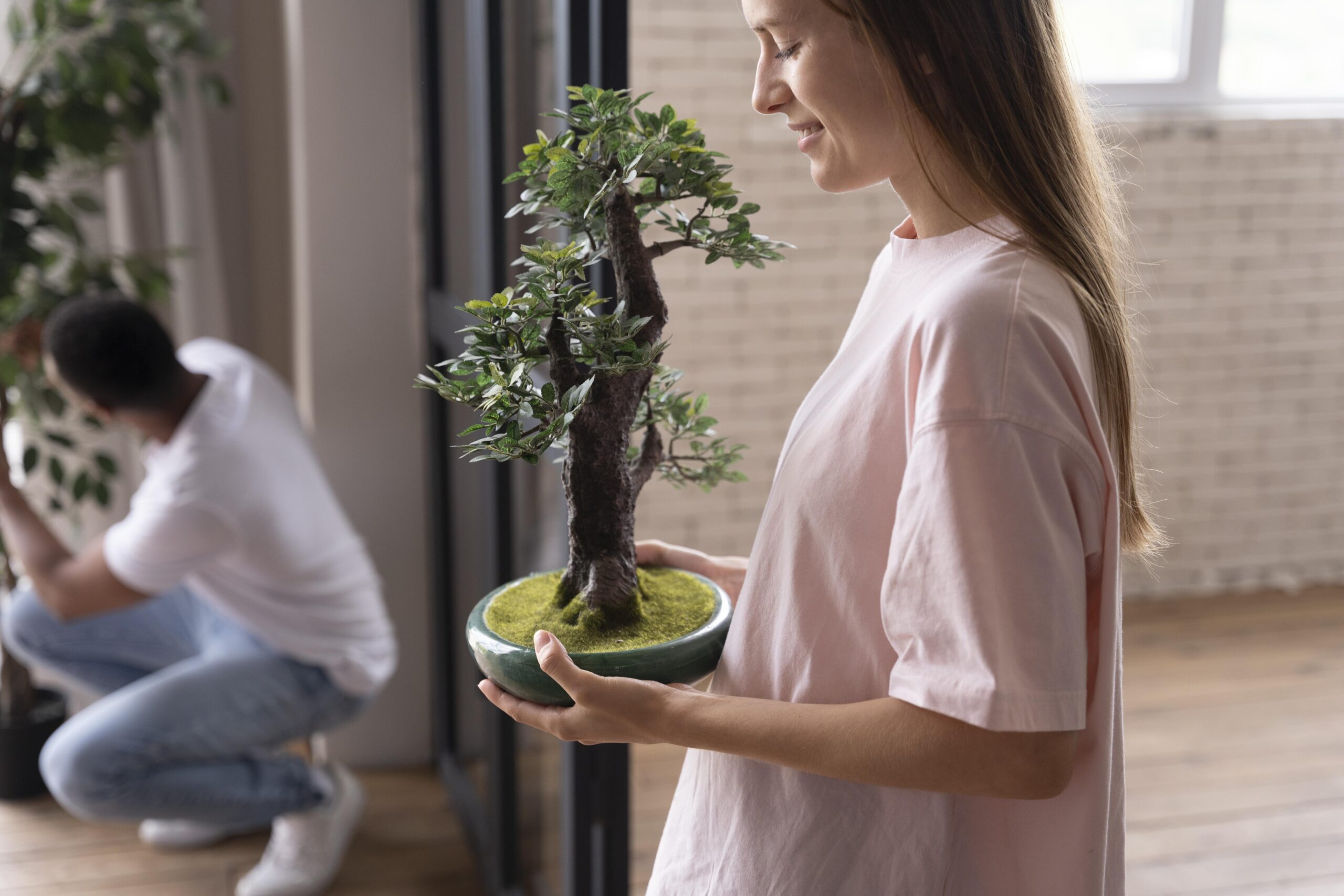 bonsai in small apartments