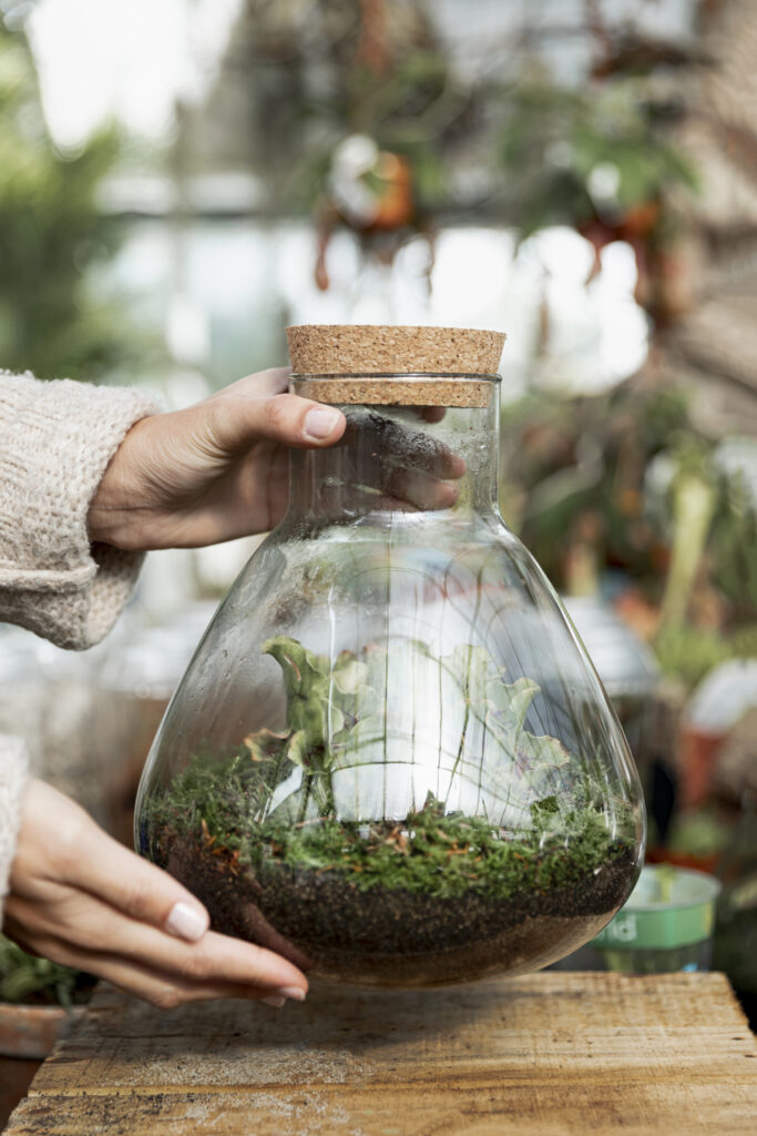 Bonsai terrarium