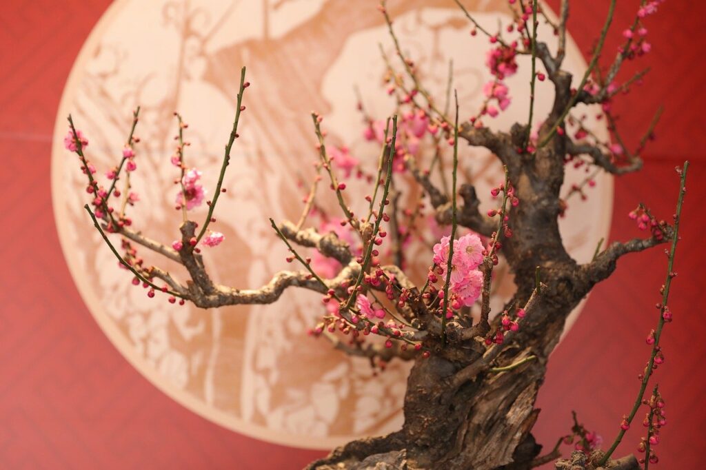 Bonsai Trees Turn Pink