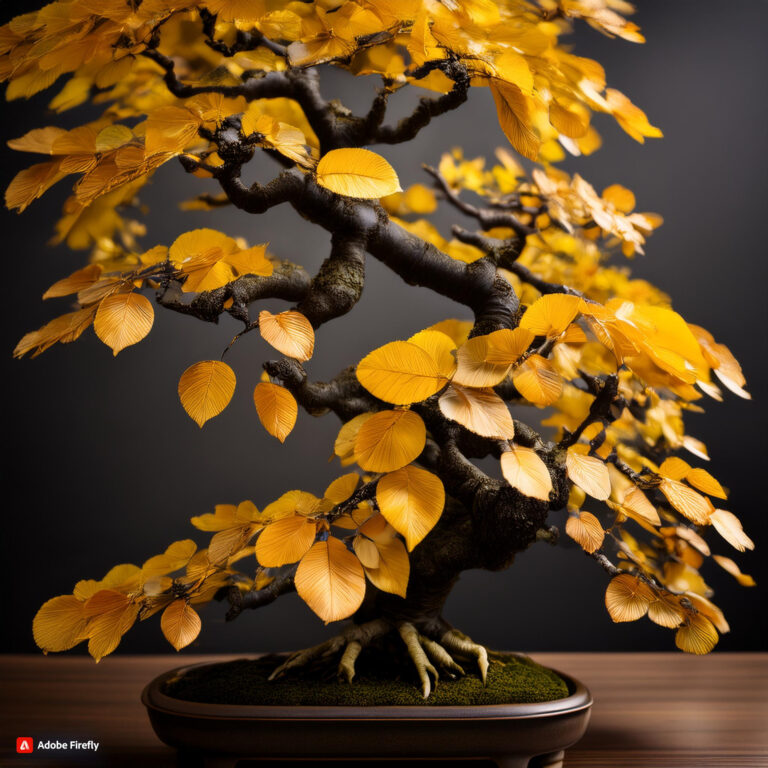 bonsai trees turn yellow