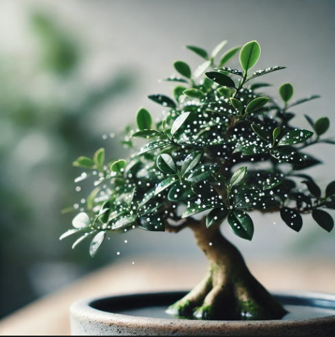 Understanding White Spots on Fukien Tea Bonsai Leaves: Causes and Solutions