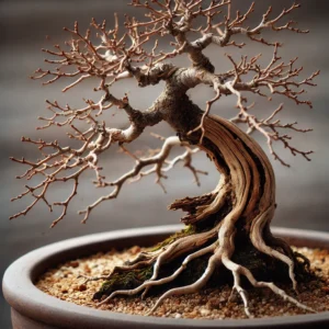 Why Is My Bonsai Tree Dying?